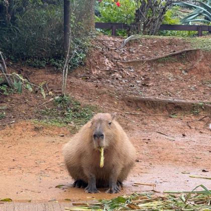 日本冲绳县5日4晚私家团