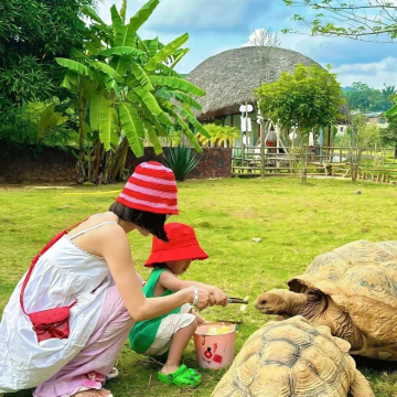 亲近自然•即见崇左5天4夜亲子营【满分好评〓高端亲子游〓入住在野蘑菇屋】热门景点:伏那秘境+德天瀑布+白头叶猴+三娘湾丨出海追海豚+5正餐丨越南簸箕宴+在野下午茶