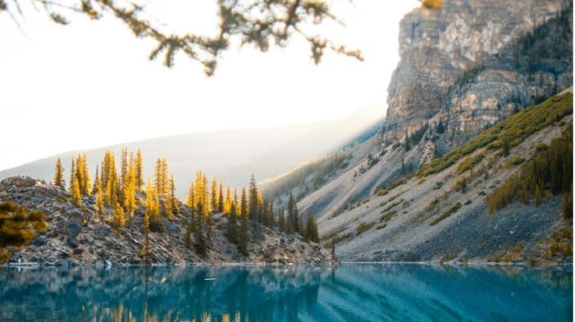 4-Day Canadian Rockies Summer Tour from Calgary · Banff, Lake Louise, Columbia Icefield & Jasper