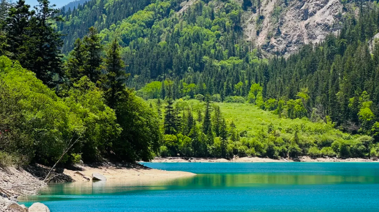 7-day 6-night · Private Tour · Chengdu + Jiuzhaigou + Huanglong National Scenic Area + Mount Emei + Leshan Giant Buddha