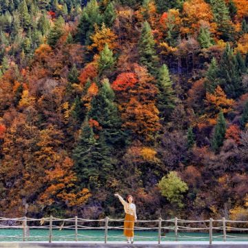 成都+九寨沟+毕棚沟+达古冰川风景名胜区+黄龙风景名胜区6日5晚私家团