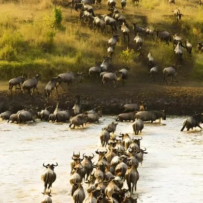 肯尼亚13日11晚私家团