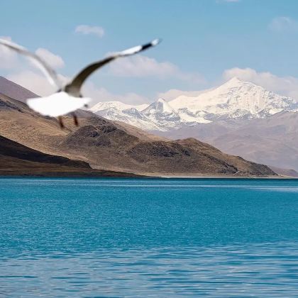 西藏拉萨+林芝+山南+布达拉宫+雅鲁藏布大峡谷+羊卓雍错+纳木错10日7晚跟团游