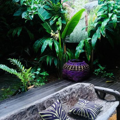 普洱+景迈山茶林文化景区3日2晚拼小团