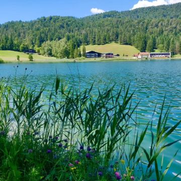德国8日6晚私家团