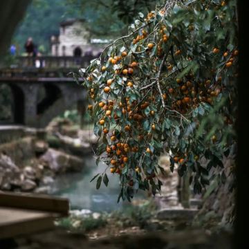 宁德+龙潭古镇+四坪村4日3晚私家团