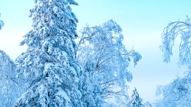 恩施市+神農架7日6晚跟團遊·12人團+金牌導遊+恩施7大招牌景點+大峽谷山景陽臺房+看熊貓賞雪+滑雪不限時+裝備8件套