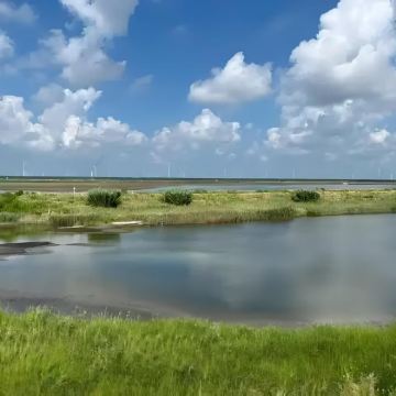 建湖九龙口国家湿地公园+陆秀夫纪念馆+乔冠华故居2日1晚自由行