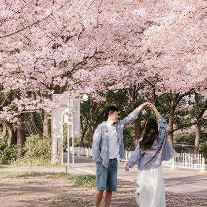 武汉+黄鹤楼+长江三峡4日3晚拼小团