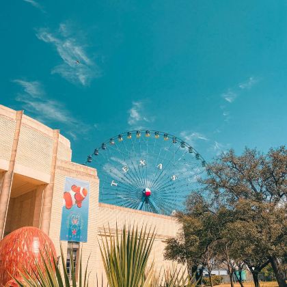 达拉斯+奥斯汀+圣安东尼奥11日10晚私家团