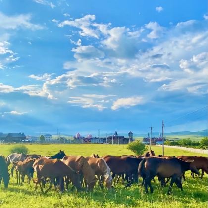 秦皇岛+北戴河+承德+木兰围场+乌兰布统草原5日4晚私家团