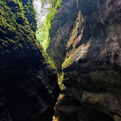 甘肃兰州+甘南+拉卜楞寺+扎尕那+官鹅沟大景区+麦积山石窟8日7晚私家团