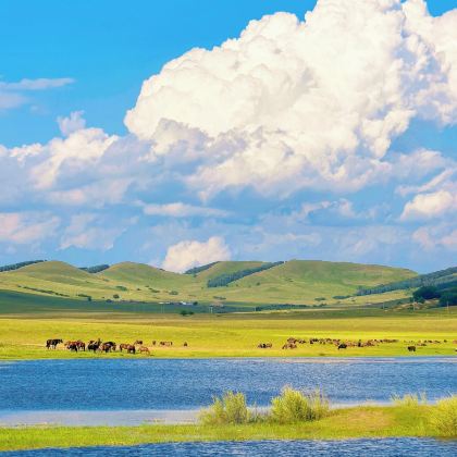星河牧原漫游记，6天5晚亲子房车野奢营【从帝都草原到火山瀚海】房车漫游达达线&私家牧场游牧&火山地质科考&金山岭长城徒步