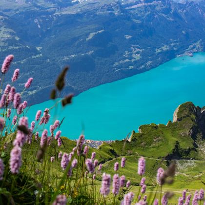 瑞士+列支敦士登6日私家团