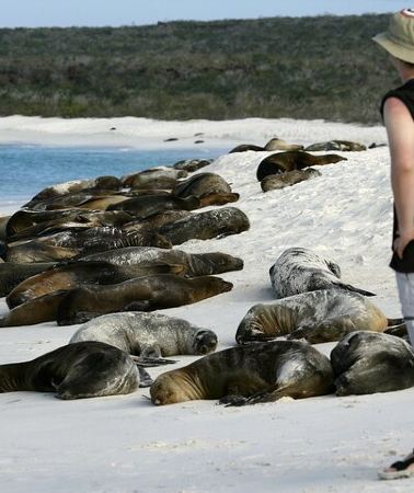5D4N • Galapagos Intensive 5 days, land base (3Islands) Excludes galapagos flight