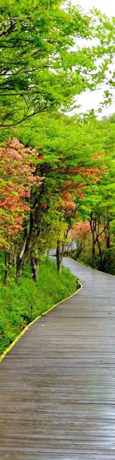 大围山国家森林公园-浏阳-问愁