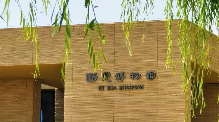 5-Day Group Tours: Ningxia Yinchuan, Shapotou, Zhongwei and Five Lakes Crossing in Tengger Desert·  