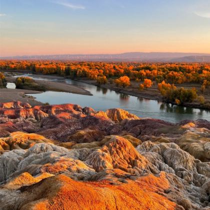 新疆北疆+喀纳斯4日3晚拼小团