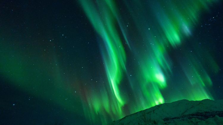 5-Day Alaska Northern Lights Group Tour·3 Aurora Viewings, DSLR Photography & Arctic Circle Adventure