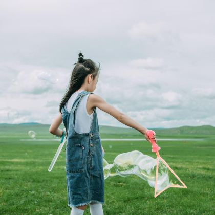 内蒙古呼伦贝尔+满洲里+额尔古纳+海拉尔6日5晚私家团