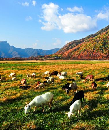 6D5N • Enshi City + Shennongjia + Enshi Grand Canyon Scenic Area