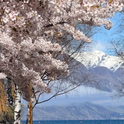 澳大利亚+新西兰10日8晚拼小团