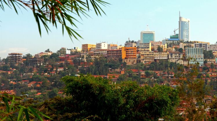 8-Day Uganda to Rwanda Tour from Kampala to Kigali·Gorilla & Chimpanzee Treks, Safari Drives & Permits Included