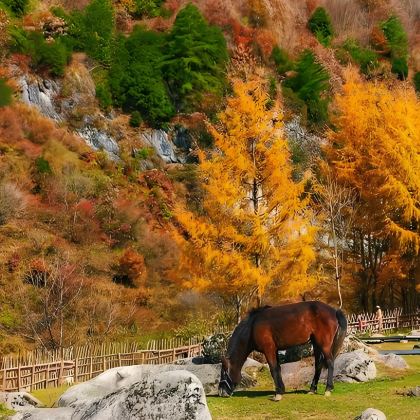 汉中龙头山国际旅游度假区+留坝千年银杏树+高江路+紫柏山国家森林公园+狮子沟牧场2日1晚私家团