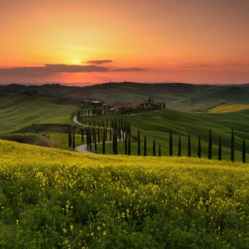 意大利7日6晚私家团