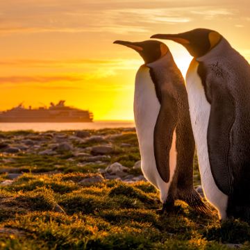 南极洲+阿根廷+巴西25日跟团游