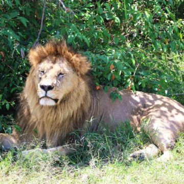 肯尼亚10日跟团游