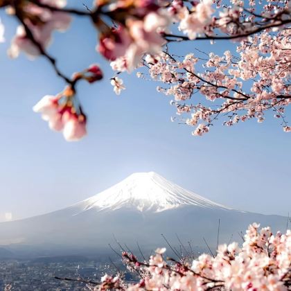 日本富士山+轻井泽町4日3晚私家团