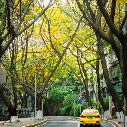 成都+重庆5日4晚私家团