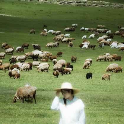 新疆乌鲁木齐+喀纳斯景区+世界魔鬼城+赛里木湖+那拉提旅游风景区10日9晚私家团