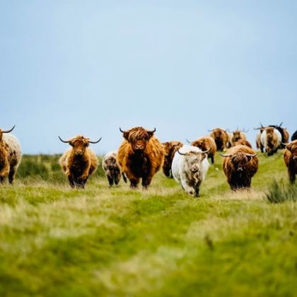 英国爱丁堡+因弗内斯+天空岛+苏格兰高地3日2晚私家团