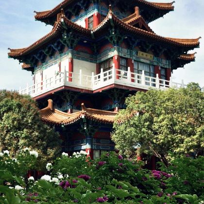 河南郑州+洛阳+开封4日3晚私家团