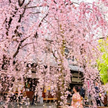 日本大阪+京都+东京7日6晚私家团