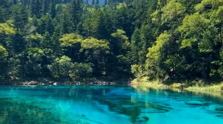 5D4N · Private Tours · Sichuan Highlights : Jiuzhaigou & Huanglong & Sanxingdui & Panda Base. Direct high-speed rail. Free Sichuan Opera Face-changing + Complimentary SIM & adapter on inquiry