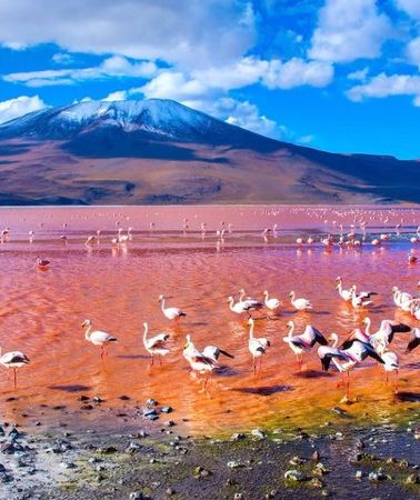 3D2N • Your Best Uyuni Experience: 3-Day Salt Flats, Lagoons & Deserts