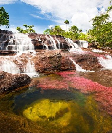 4D3N • Cano Cristales & Jungle: 4 day trip from Bogota