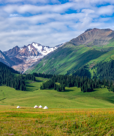 12D11N • Northern Xinjiang, Altay Prefecture + Ili + Kanas Scenic Area + Hemu Scenic Area + Sayram Lake + Nalati Sky Grassland + Kuerdening Scenic Area + Tianshan Tianchi