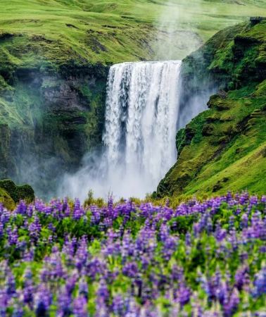 5D4N • Customize your trip: Iceland: Seljalandsfoss Waterfall + Reynisfjara Black Sand Beach  + Gullfoss Waterfall + Strokkur Geysir + Þingvellir National Park + Whale Watching from Reykjavík