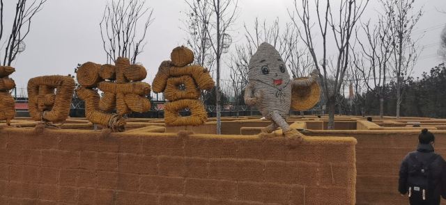 太原康培稻田公园旅行图片 1