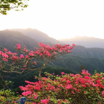 安徽金寨3日2晚私家团