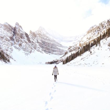 加拿大温哥华+弓河瀑布+班夫国家公园+强斯顿峡谷+路易斯湖4日3晚跟团游