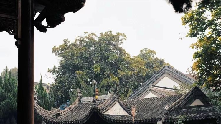 南京+8