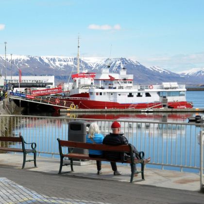雷克雅未克10日9晚拼小团