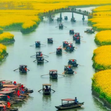 泰州+溱湖国家湿地公园+溱潼古镇+千垛景区3日2晚私家团