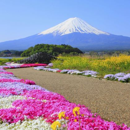 日本大阪+富士山+京都6日跟团游