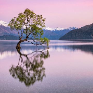 澳大利亚+新西兰14日13晚跟团游